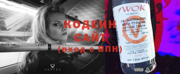 хмурый Няндома