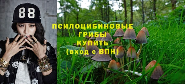 крисы Нягань