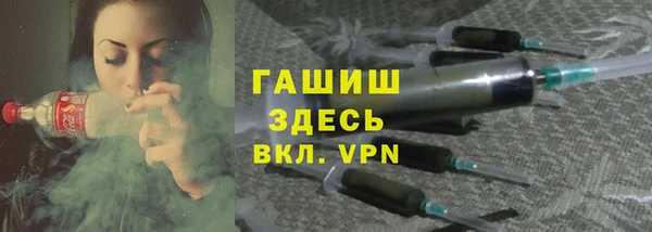 хмурый Няндома