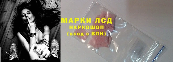 хмурый Няндома