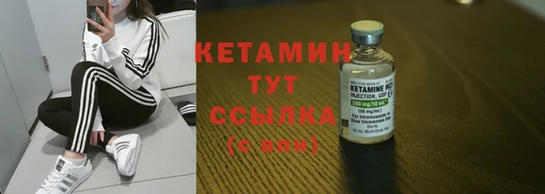 хмурый Няндома