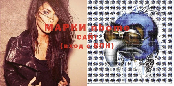 хмурый Няндома
