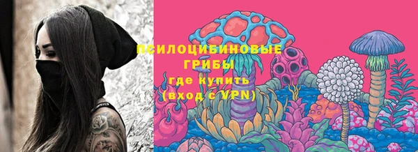 хмурый Няндома