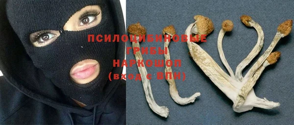 крисы Нягань