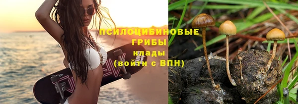 хмурый Няндома