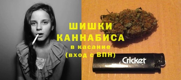 крисы Нягань