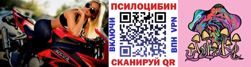 хочу наркоту Иноземцево Галлюциногенные грибы мицелий